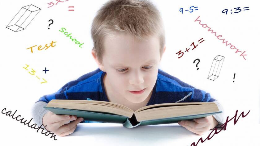 teaching math using living books
