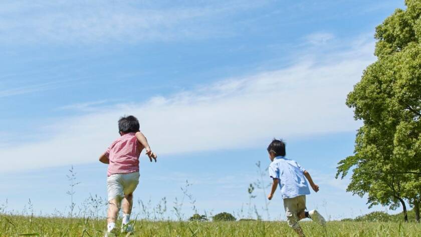 Read how Adventures with Spring Nature Study gives you practical and fun ways to study science as your homeschool science curriculum using your observations of nature during the spring. #homeschoolscience, #homeschoolspringnaturestudy, #homeschoolscience curriculum, #lifecycles, #insects, #weather, #birds, #animals, #plants