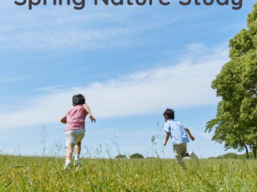 Read how Adventures with Spring Nature Study gives you practical and fun ways to study science as your homeschool science curriculum using your observations of nature during the spring. #homeschoolscience, #homeschoolspringnaturestudy, #homeschoolscience curriculum, #lifecycles, #insects, #weather, #birds, #animals, #plants