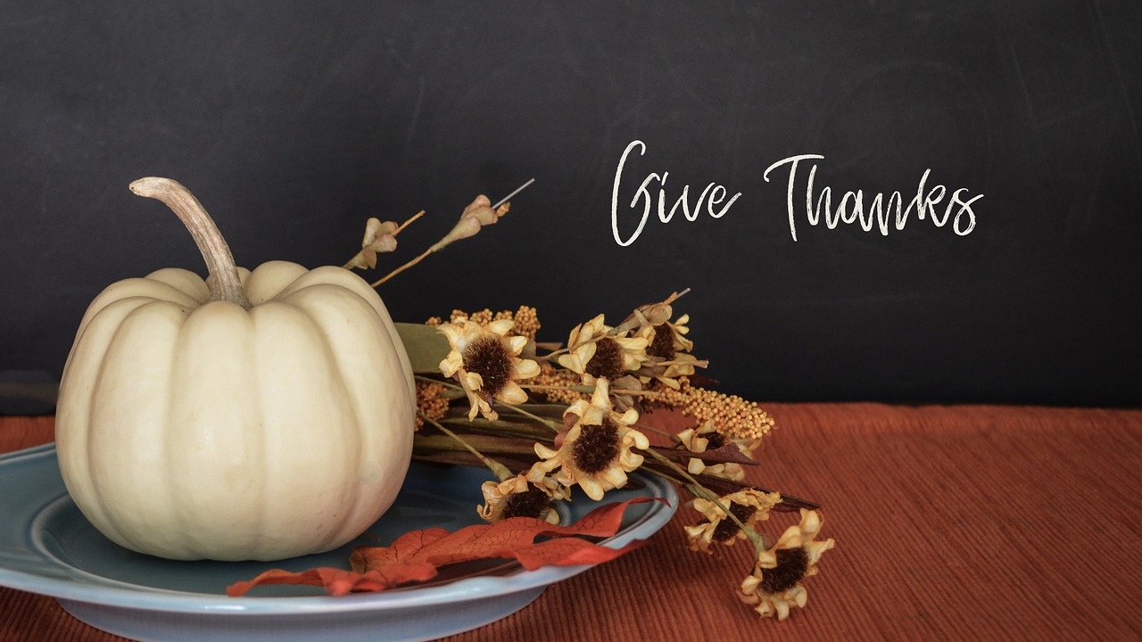 Homeschool Thanksgiving Lessons and Ideas