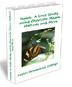 Insect Unit Study using Charlotte Mason Methods and More