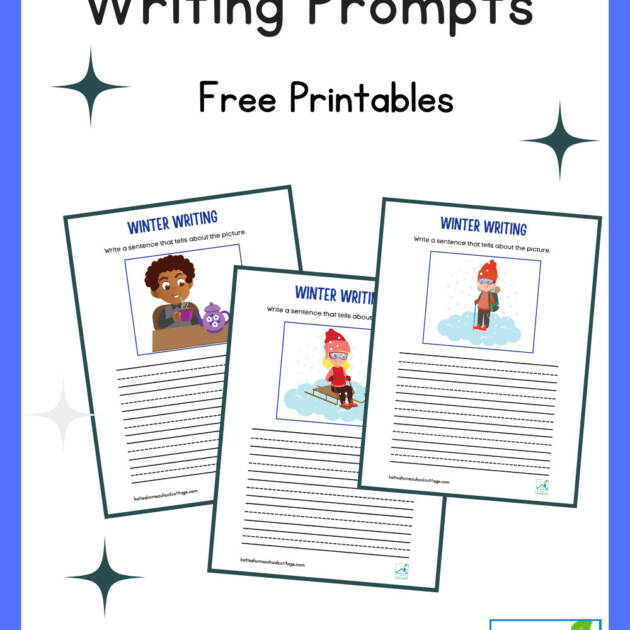 Free Winter Picture Writing Prompt Worksheets