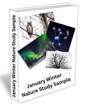 January Winter Nature Study