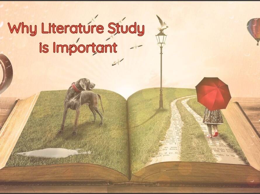 Why Literature Study is Important