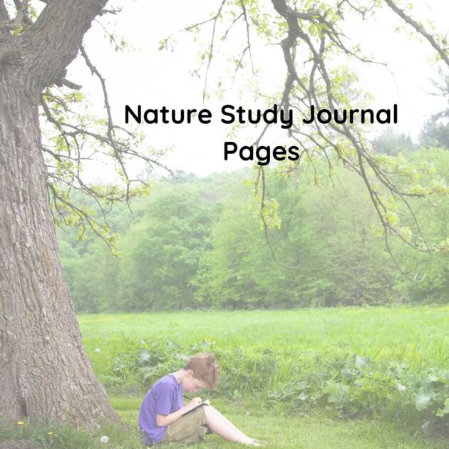 Nature Study Journal Pages