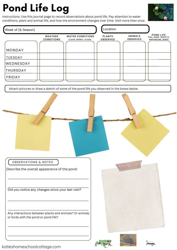 Pond Life Nature Study Journal Page