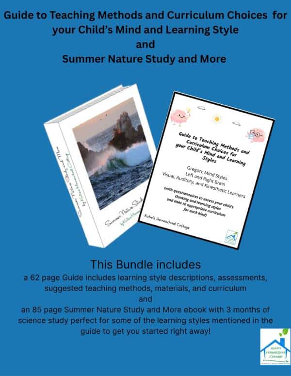Guide to Teaching Methods and Curriculum Choices for your Child’s Mind and Learning Style and Summer Nature STudy and More Bundle