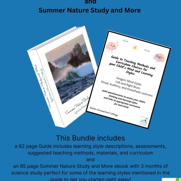 Guide to Teaching Methods and Curriculum Choices for your Child’s Mind and Learning Style and Summer Nature STudy and More Bundle