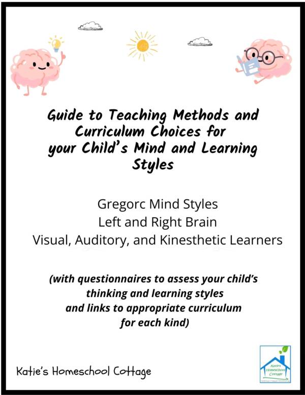Guide to Teaching Methods and Curriculum Choices for your Child's Mind and Learning Style