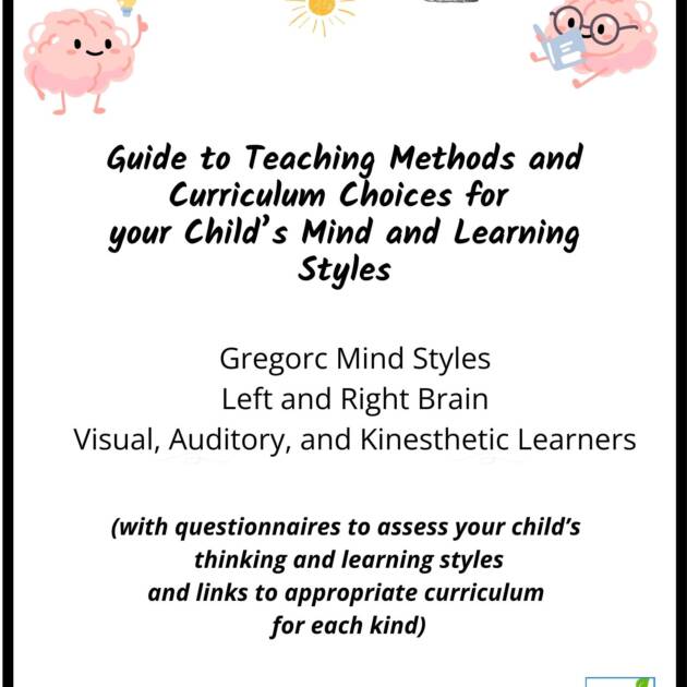 Guide to Teaching Methods and Curriculum Choices for your Child's Mind and Learning Style